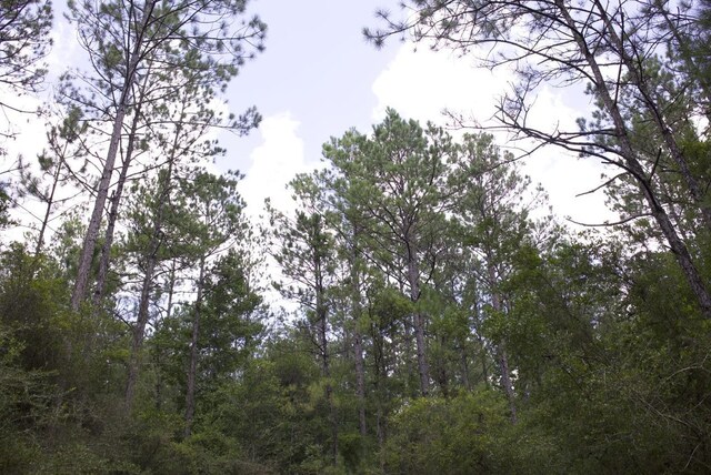 R20622LOT11 Fm 770, Kountze, TX 77625 - photo 4