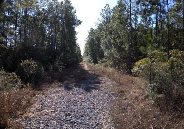 R20622LOT11 Fm 770, Kountze, TX 77625 - photo 7