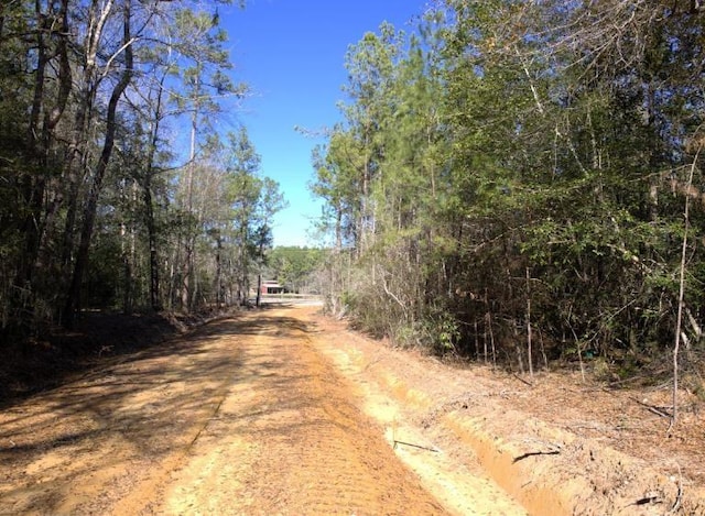 R20622LOT11 Fm 770, Kountze, TX 77625 - photo 9