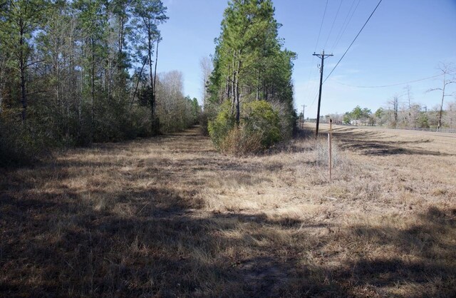R20622LOT11 Fm 770, Kountze, TX 77625 - photo 3