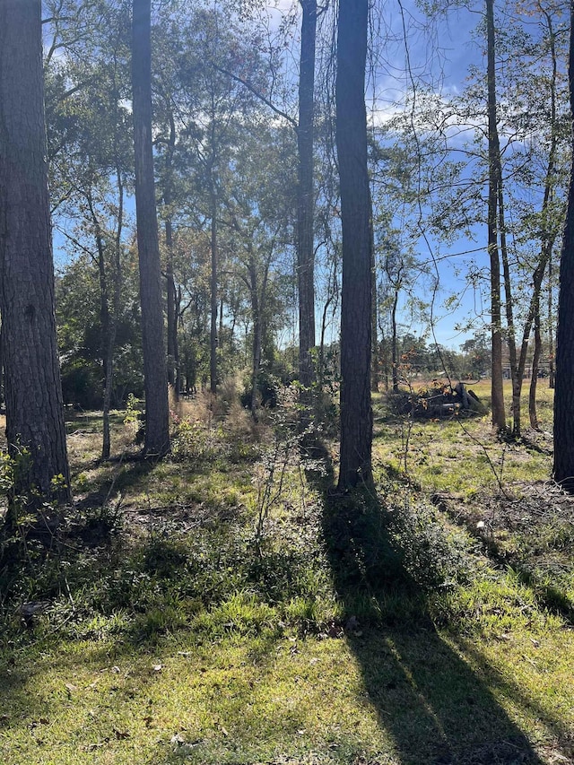 430 E Walton Rd, Lumberton TX, 77657 land for sale