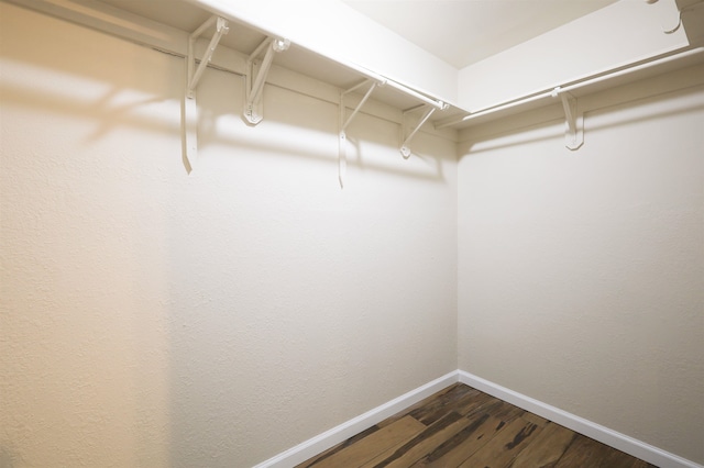 spacious closet with dark wood-type flooring