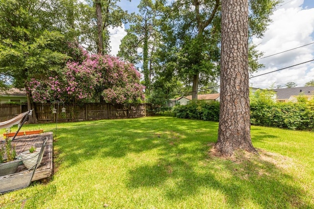 3750 Empire Row, Beaumont, TX 77706 - view of fenced backyard
