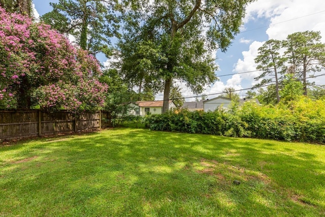 3750 Empire Row, Beaumont, TX 77706 - view of yard