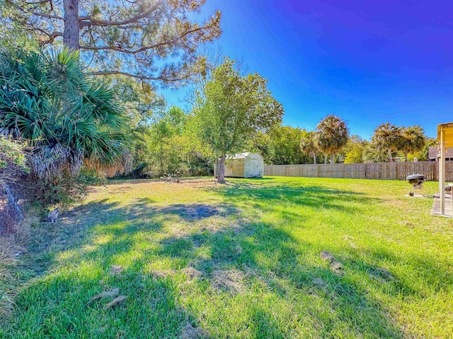 view of yard featuring a shed