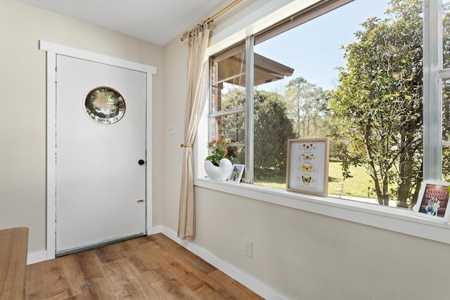 entrance foyer featuring baseboards and wood finished floors