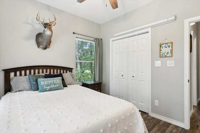 bedroom featuring ceiling fan, dark wood-type flooring, and a closet