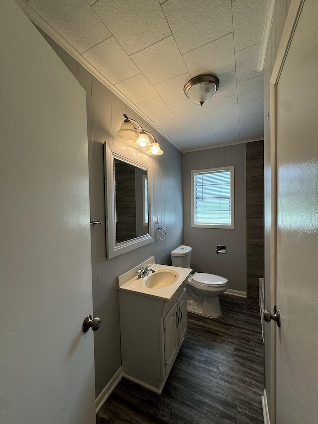 bathroom with vanity, toilet, wood-type flooring, and ornamental molding