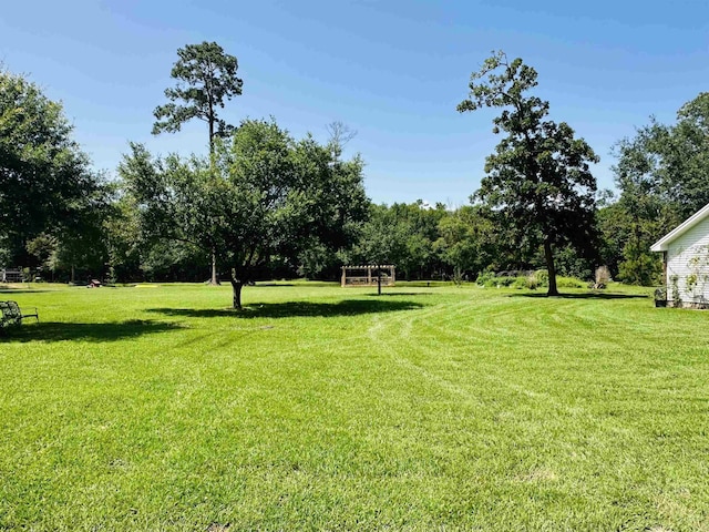 8594 Morgan Ln, Orange, TX 77632 - view of grassy yard featuring view of wooded area