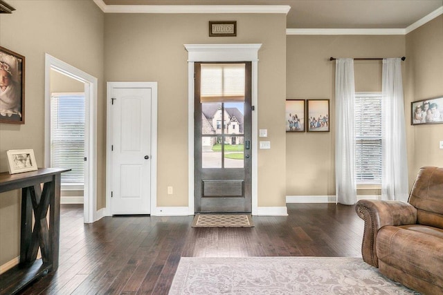 foyer entrance with dark hardwood / wood-style flooring and a wealth of natural light