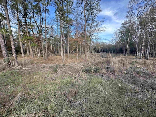 10499 Country Road 701, Buna TX, 77612 land for sale