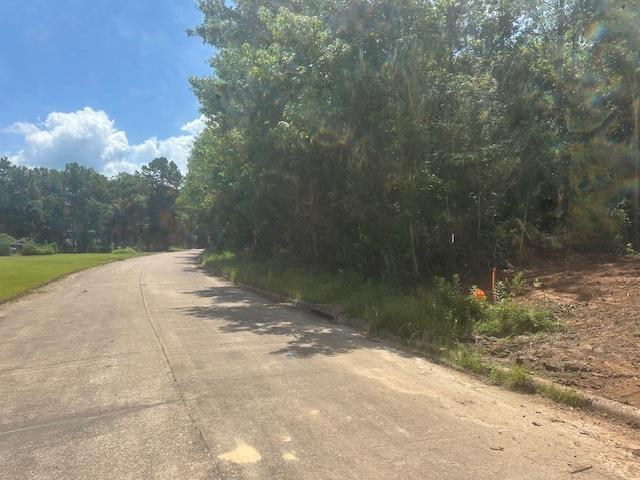 Dundee, Vidor, TX 77662