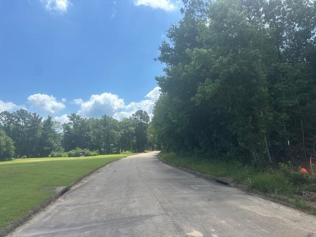 Dundee, Vidor, TX 77662
