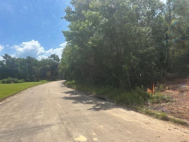 Dundee, Vidor, TX 77662