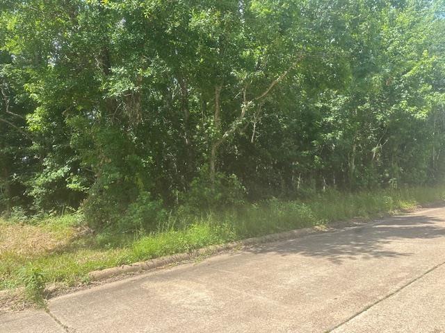 Dundee, Vidor, TX 77662