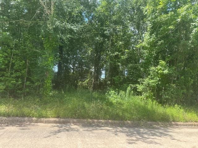 Dundee, Vidor, TX 77662