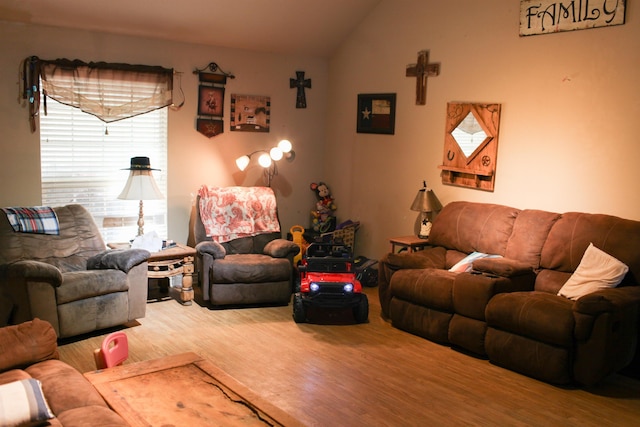 living room featuring lofted ceiling and wood-type flooring