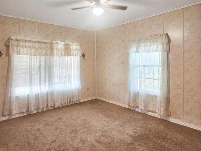 unfurnished room featuring carpet flooring, ceiling fan, and crown molding