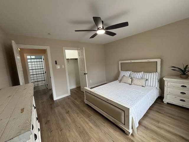 bedroom featuring wood-type flooring, a closet, a spacious closet, and ceiling fan