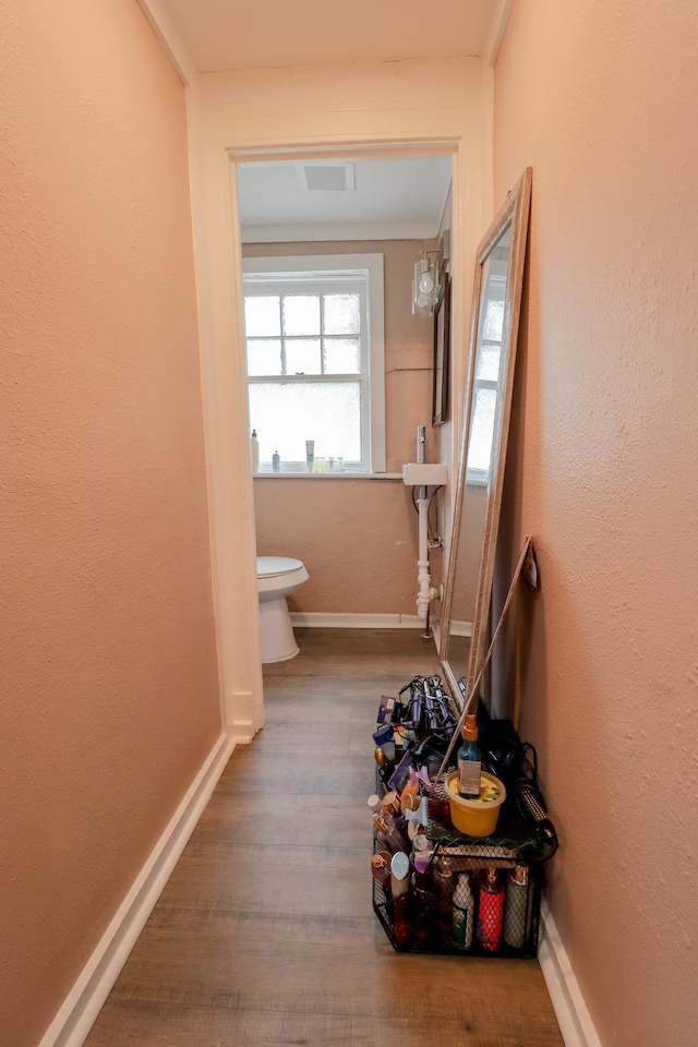 bathroom with wood-type flooring and toilet