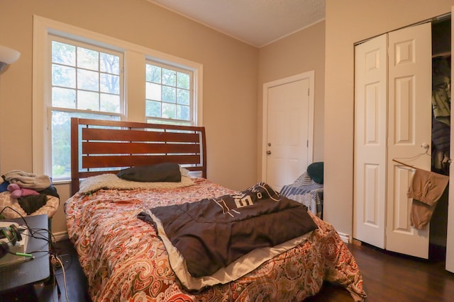 bedroom featuring dark hardwood / wood-style flooring