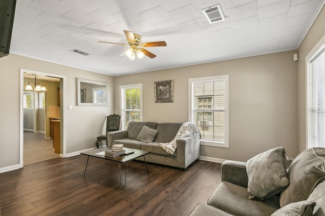 living room featuring ceiling fan with notable chandelier, dark hardwood / wood-style flooring, and ornamental molding