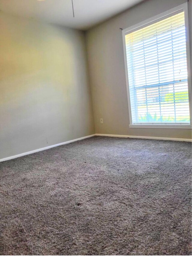 unfurnished room featuring carpet flooring