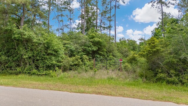 Old Arco Rd, Silsbee, TX 77656 - photo 5