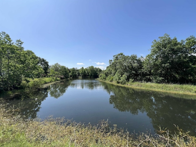 water view with a view of trees