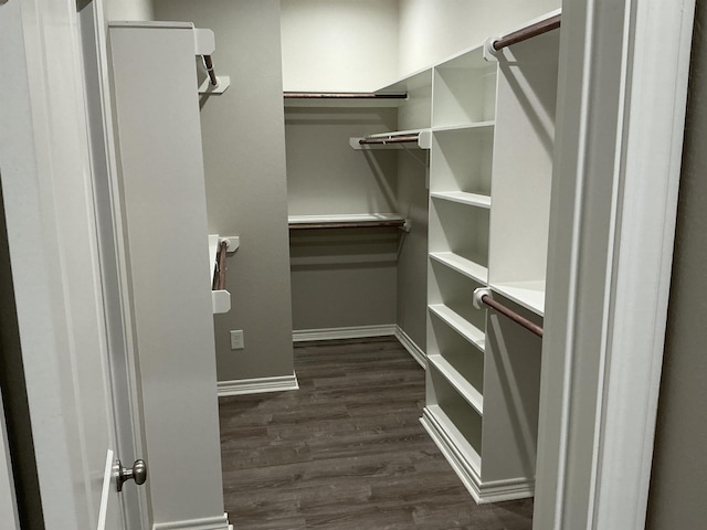 spacious closet featuring dark wood-type flooring