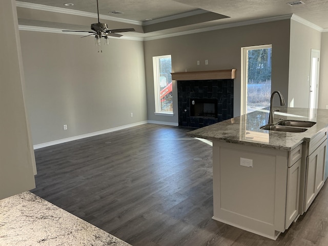 kitchen with sink, light stone counters, white cabinetry, dark hardwood / wood-style flooring, and a fireplace