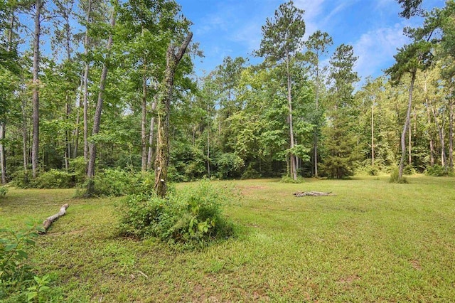 view of yard featuring a wooded view