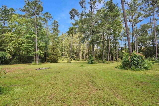 view of yard featuring a forest view