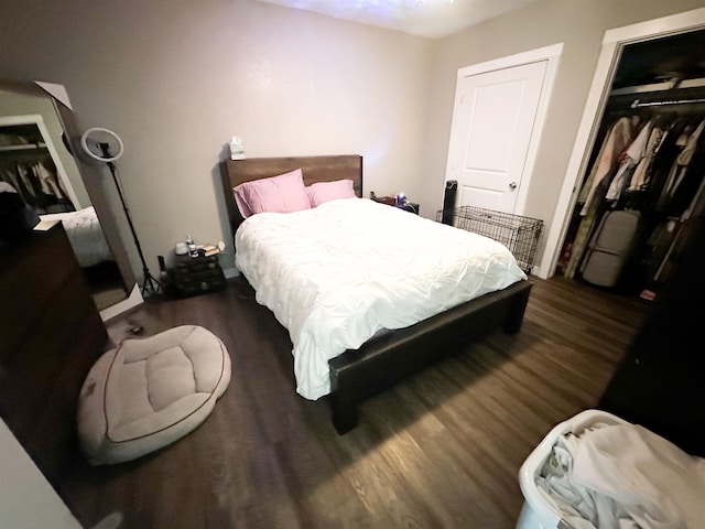 bedroom featuring dark hardwood / wood-style floors and a closet