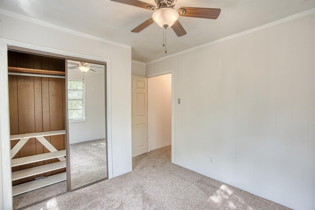 unfurnished bedroom featuring carpet flooring, ceiling fan, a closet, and crown molding