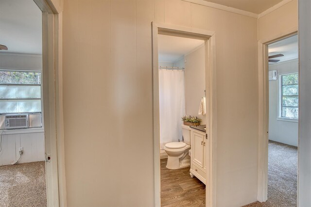 bathroom with crown molding, plenty of natural light, vanity, and hardwood / wood-style flooring