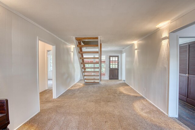 interior space with carpet flooring and ornamental molding