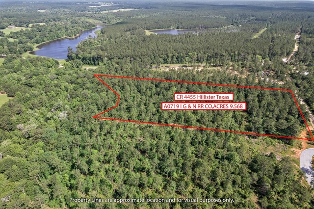 TBD Cr 4455, Woodville, TX 75979