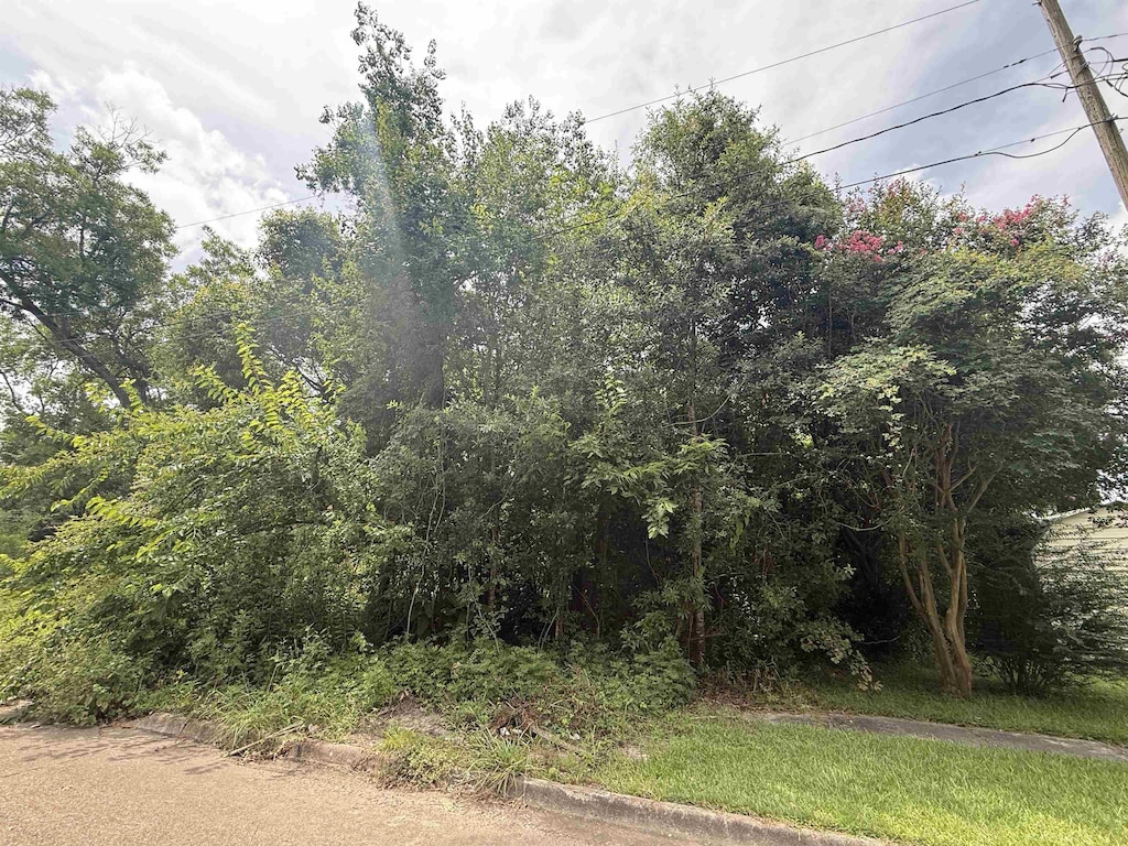 1209 W Orange Ave, Orange, TX 77630 - photo 3