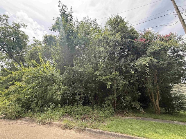 1209 W Orange Ave, Orange, TX 77630 - photo 3