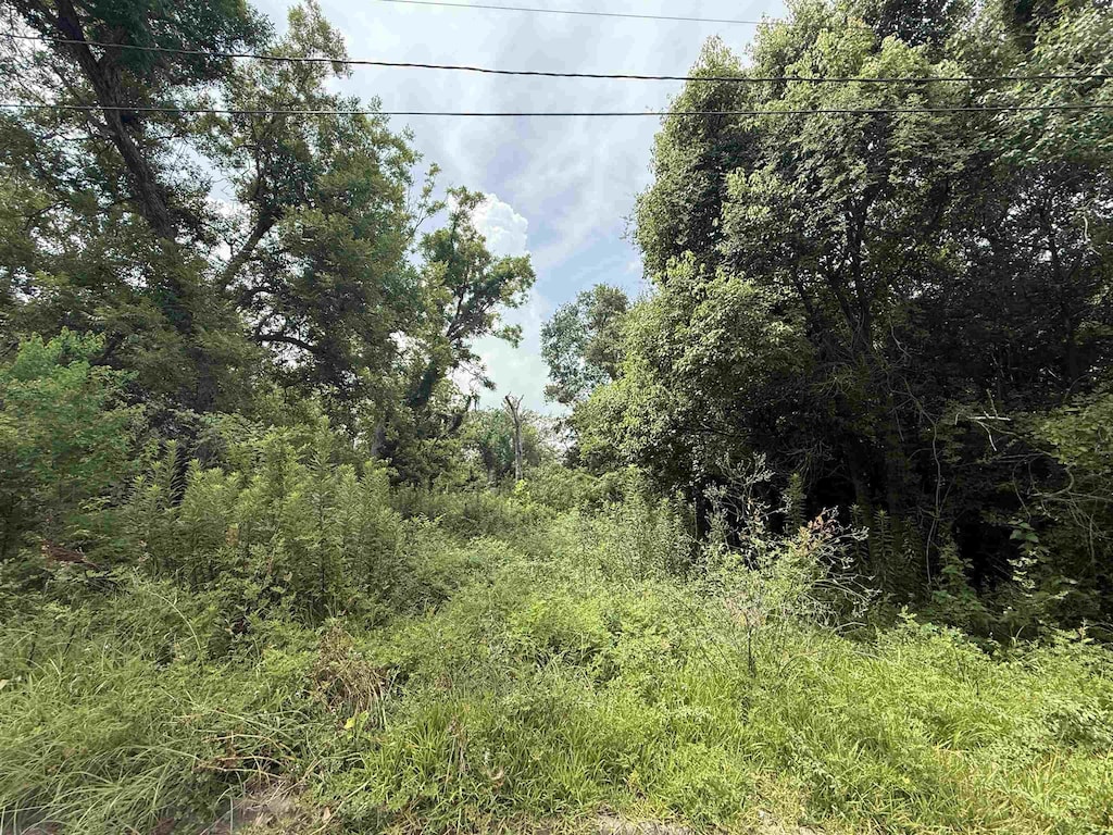 1209 W Orange Ave, Orange, TX 77630 - photo 2