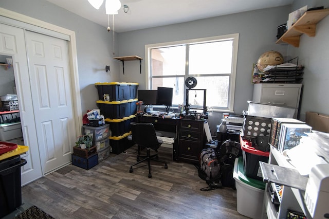 office space with dark hardwood / wood-style flooring