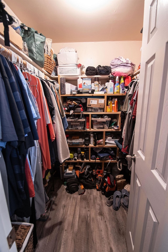 walk in closet with hardwood / wood-style flooring