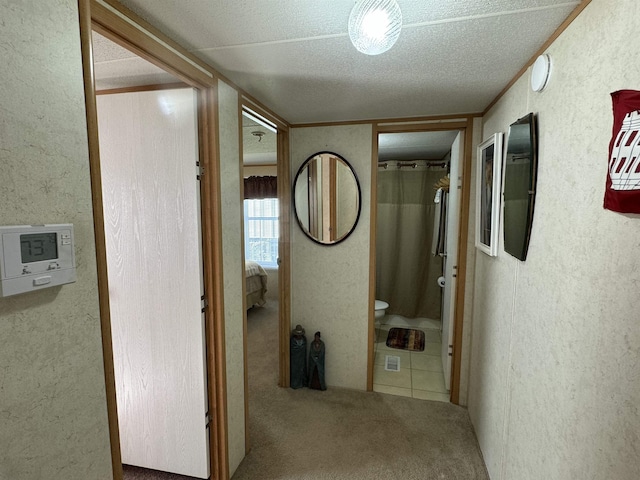 hallway with crown molding, carpet, and a textured ceiling