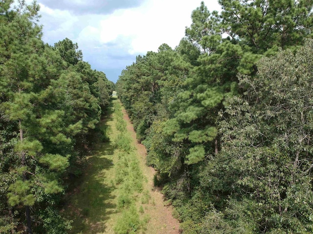 TBD County Road 534, Kirbyville TX, 75956 land for sale