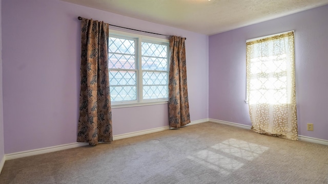 spare room with light carpet and plenty of natural light