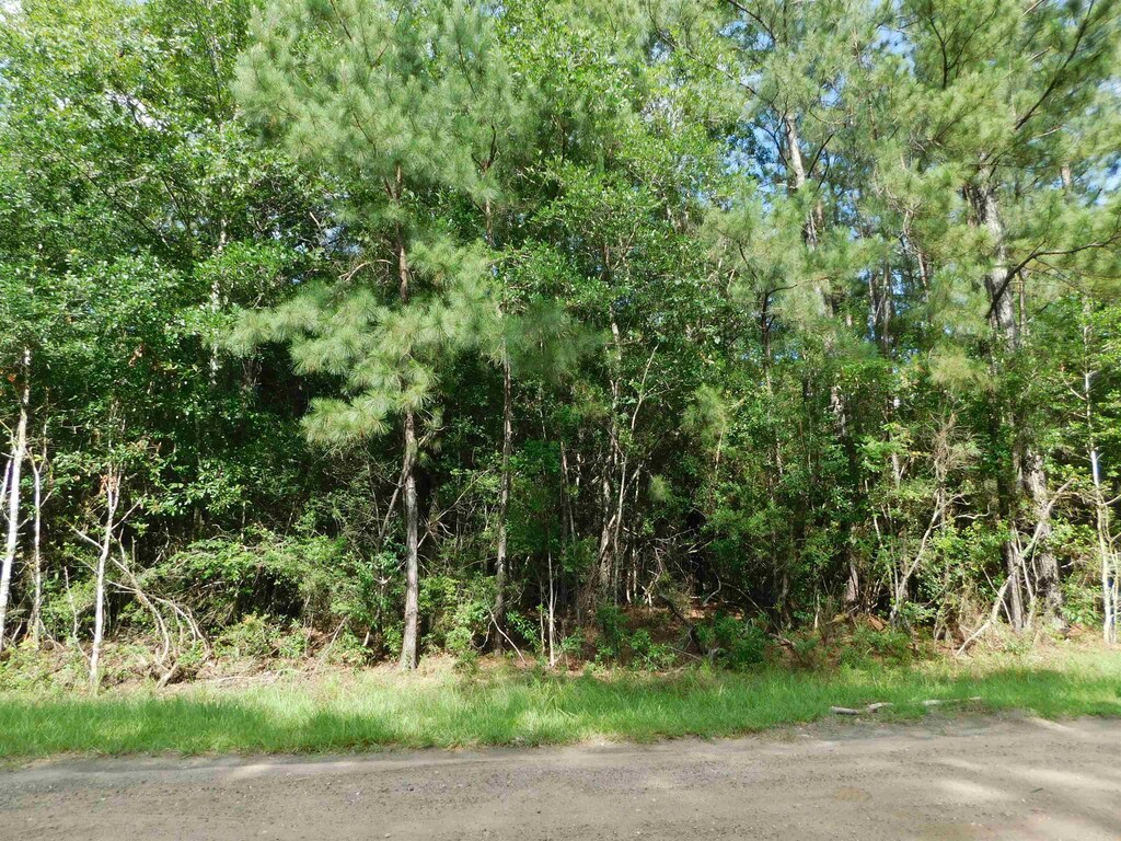 000 Cravens Camp Rd, Silsbee, TX 77656 - photo 2