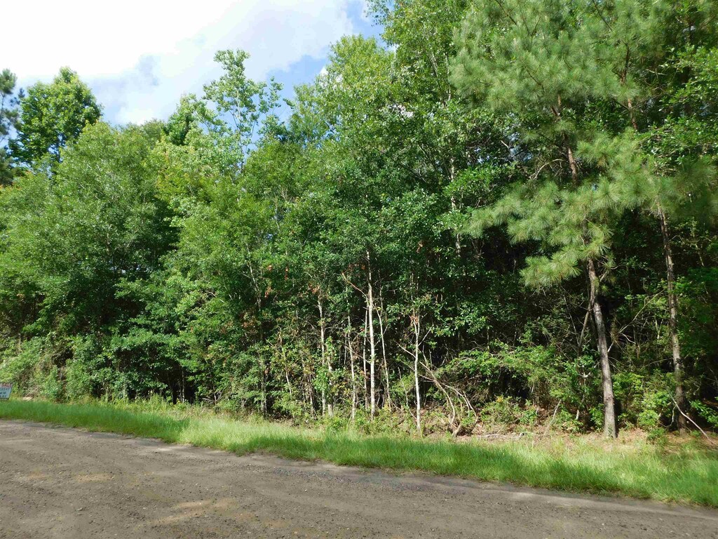 000 Cravens Camp Rd, Silsbee, TX 77656 - photo 3