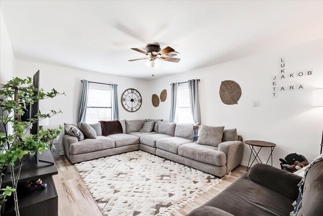 living room with plenty of natural light, ceiling fan, and light wood-type flooring