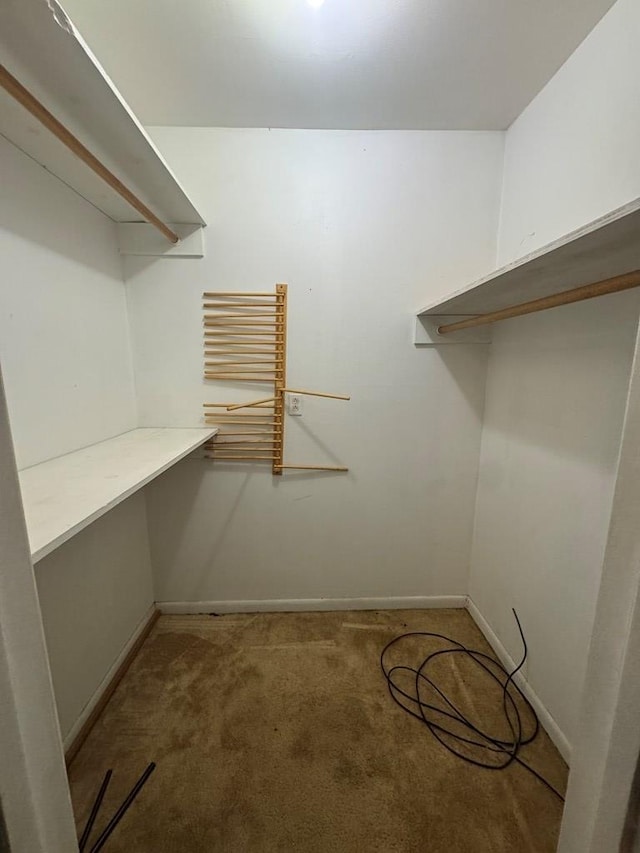 spacious closet with carpet